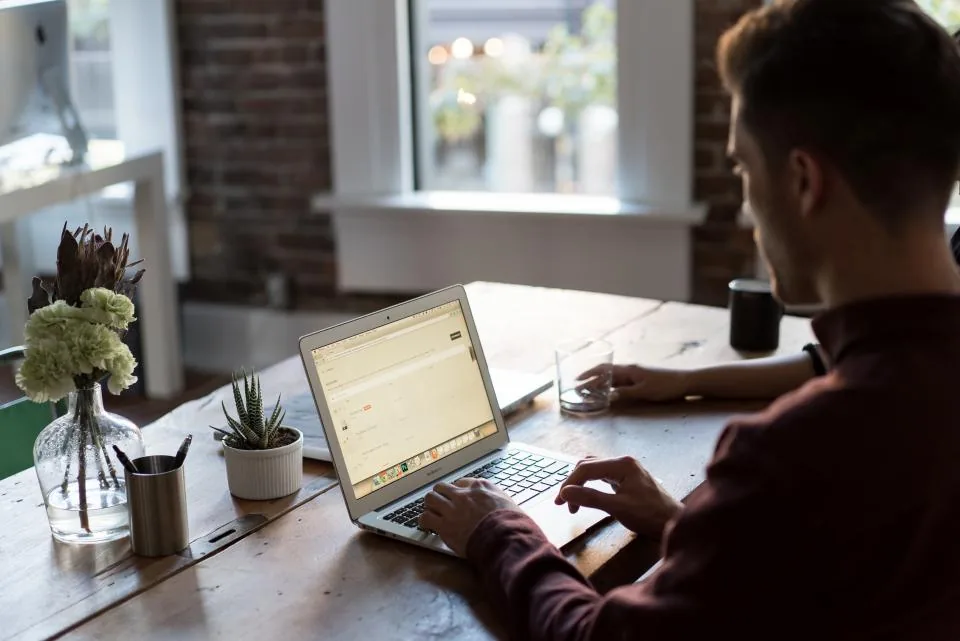 Someone working at a laptop on a warm wooden desk beside a window and small plants